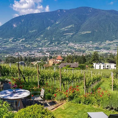 Zypresse * Merano