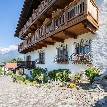 Zypresse Merano